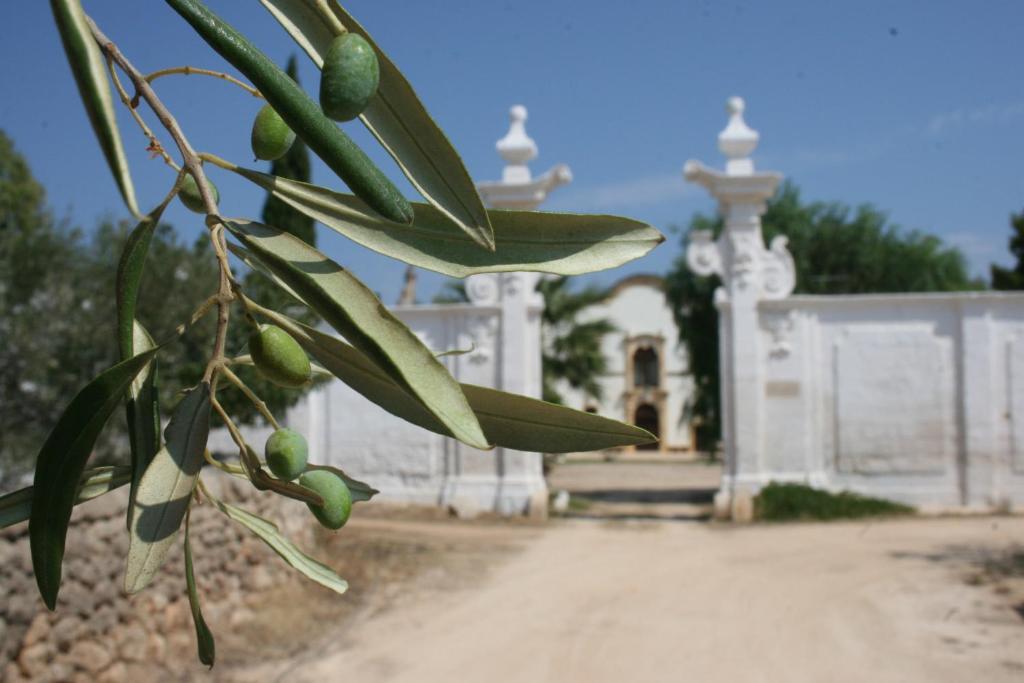 Masseria Maccarone Fasano Buitenkant foto