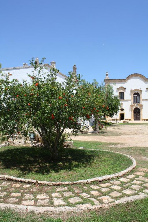 Masseria Maccarone Fasano Buitenkant foto