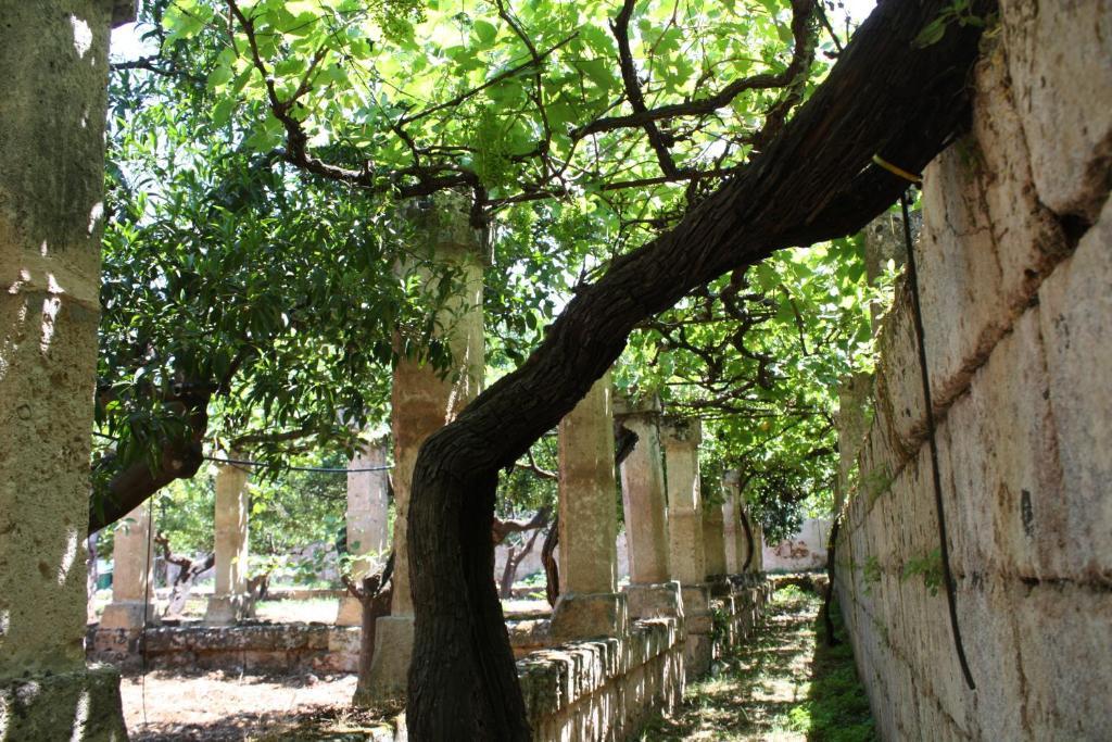 Masseria Maccarone Fasano Buitenkant foto