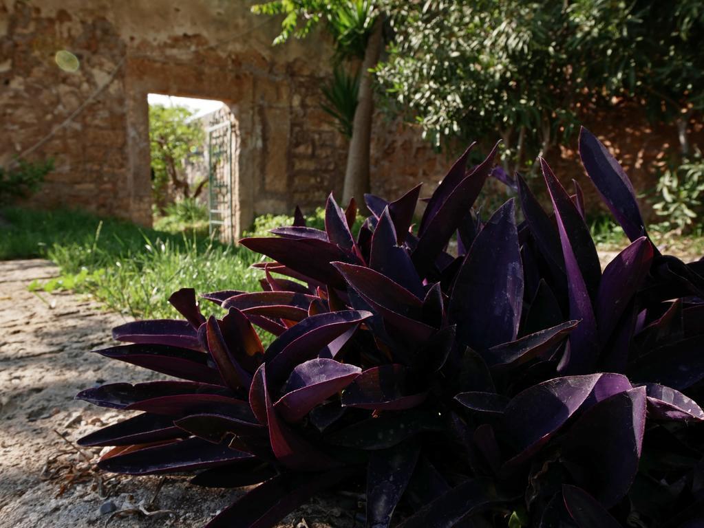Masseria Maccarone Fasano Buitenkant foto